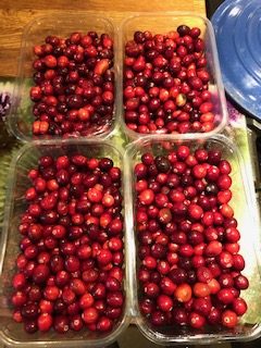 cranberries, chutney, cranberry chutney, christmas chutney